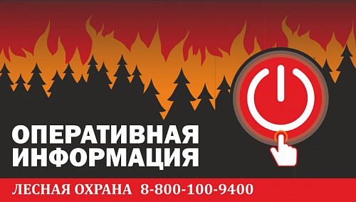 ����������� ���������� �� 01.10.2019 �.